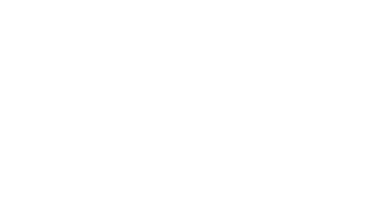 Spa Nomad Logo